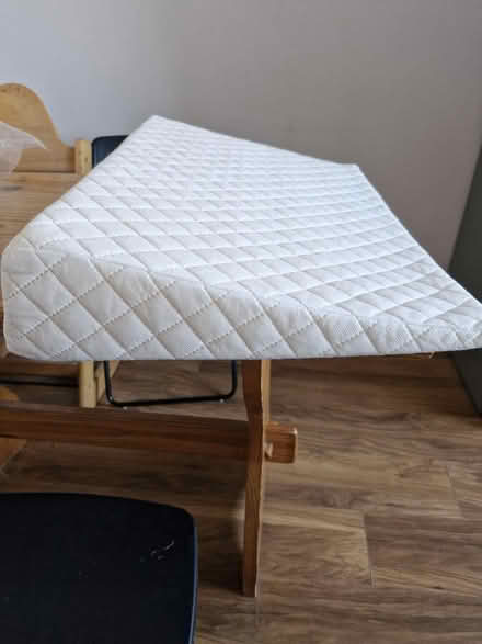 Photo of free Wedgehog pillow (Eastbourne) #2