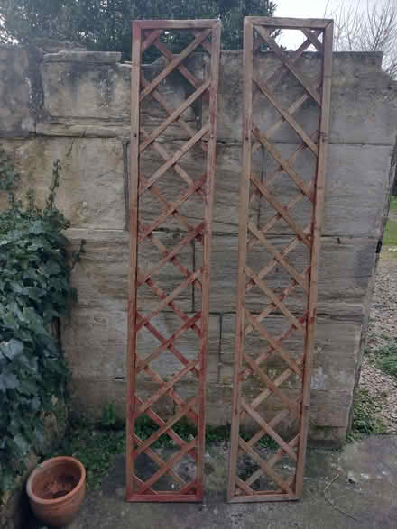 Photo of free Garden trellis x 2 (180cm x 30cm ea) (Bradford on Avon) #1
