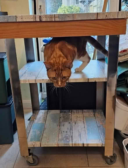Photo of free Butcher trolley (Mill End WD3) #1