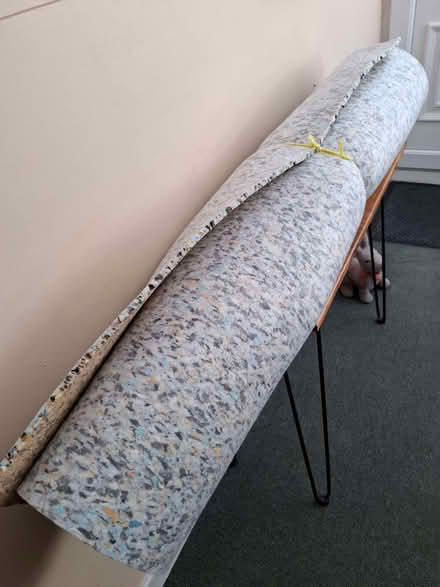Photo of free Carpet underlay (Gorsedd CH8) #1
