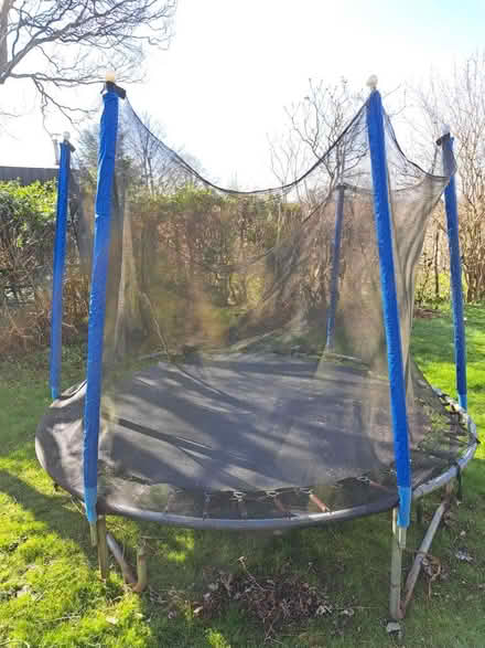 Photo of free 8' trampoline (Rode) #2