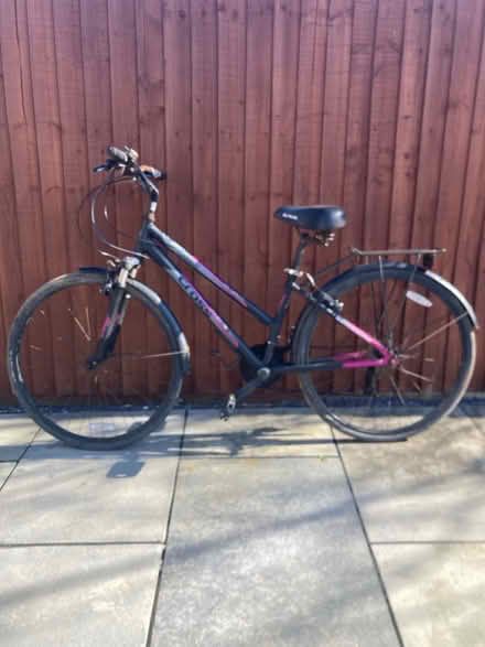 Photo of free Ladies Mountain Bike (Southend SS2) #1