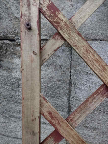 Photo of free Garden trellis x 2 (180cm x 30cm ea) (Bradford on Avon) #3