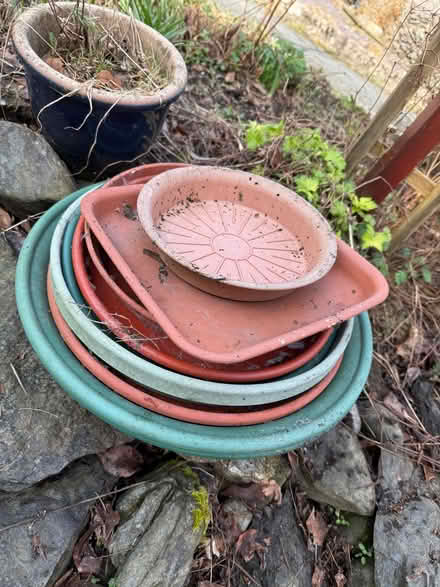Photo of free Plant pot saucers (Burneside LA9) #1