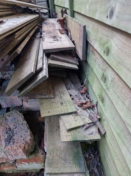Photo of free Pressure treated feather edge (Entry Hill) #1