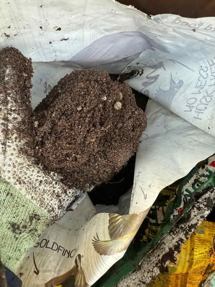 Photo of free Garden dirt maybe potting soil (Burneside LA9) #1