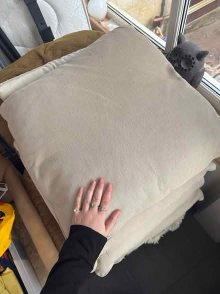 Photo of free Large sofa cushions (Stroud) #2