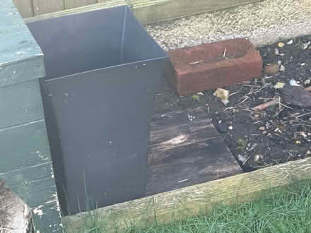 Photo of free Plants and pots (Stevenage) #3