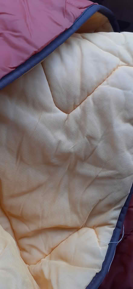Photo of free Sleeping bag (Livingston EH54) #2