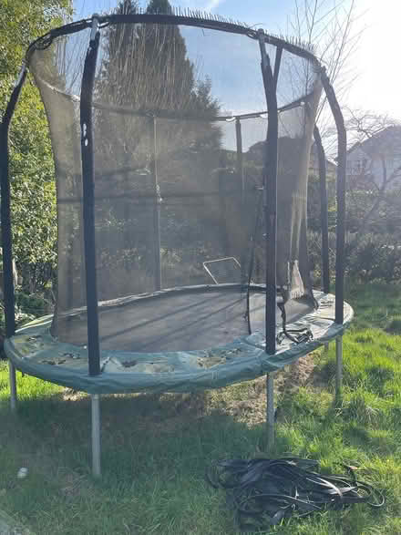 Photo of free Trampoline (AL1) #2