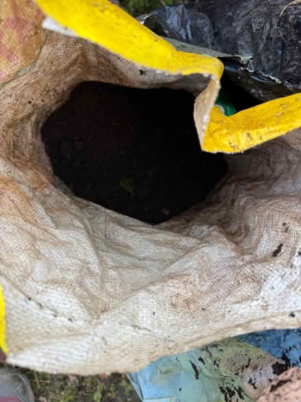 Photo of free Garden dirt maybe potting soil (Burneside LA9) #4
