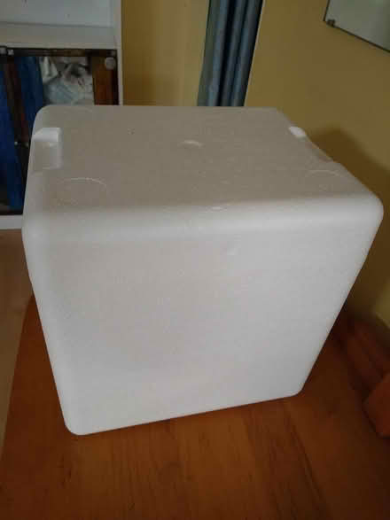 Photo of free Foam boxes and/or freezer packs (near Forest Glen Metro) #1