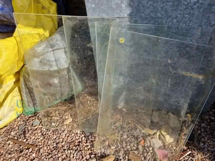 Photo of free 4 panes of high quality safety glass. Each13.5x22" (New Hinksey OX1) #1