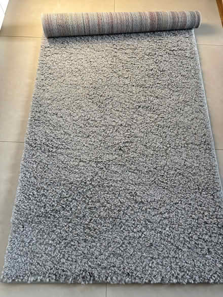 Photo of free 150x80cm rug (TW7 7PS) #1