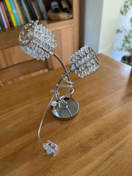 Photo of free Lighting (Warners End Hemel Hempstead) #1