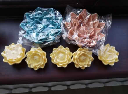 Photo of free Kindle flowers (South Harrow) #1