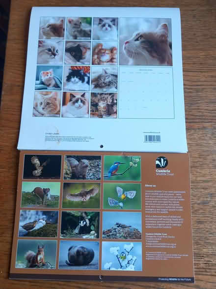 Photo of free Old calendars (OX4 Temple Cowley) #1