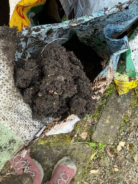 Photo of free Garden dirt maybe potting soil (Burneside LA9) #3