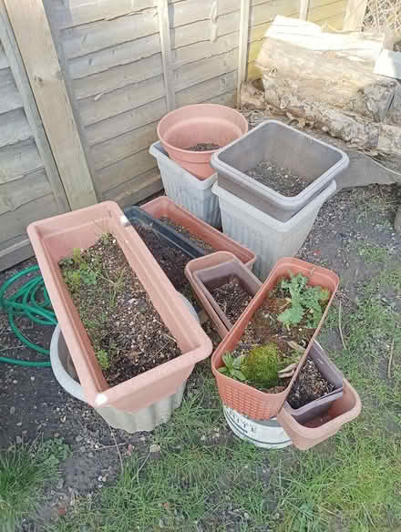 Photo of free Selection of large planters & soil (RG2 south Reading) #4