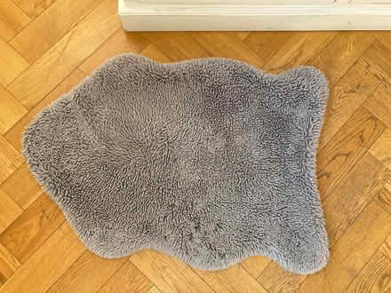 Photo of free Rug (Emlyn Gardens W4) #2