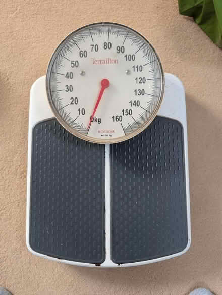 Photo of free Teraillon bathroom scales (West Byfleet GU22) #1