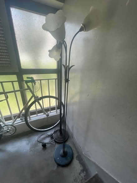 Photo of free Lamp (Brighton BN2) #1