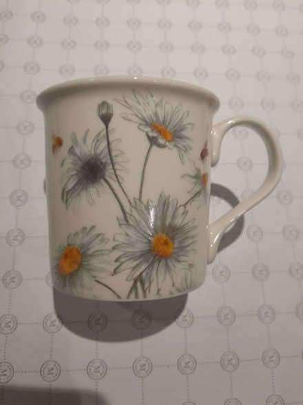 Photo of free Bee-tanical Fine China Mug (Chapel Allerton LS7) #3