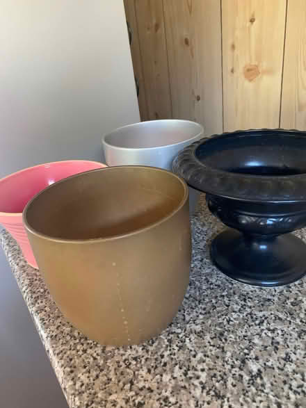 Photo of free 4 pot plant holders (Pebsham TN40) #1
