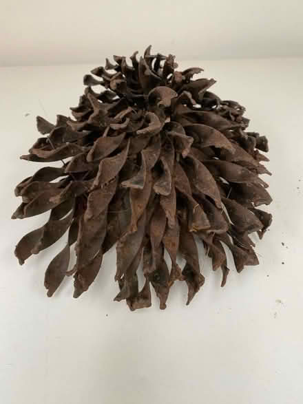 Photo of free Metal ornamental garden hedgehog (Runcton PO20) #3