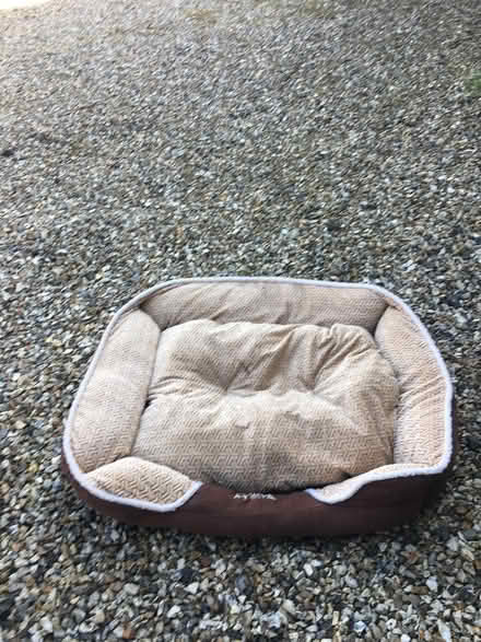 Photo of free Dog bed and fleece blanket (Henfield BN5) #1