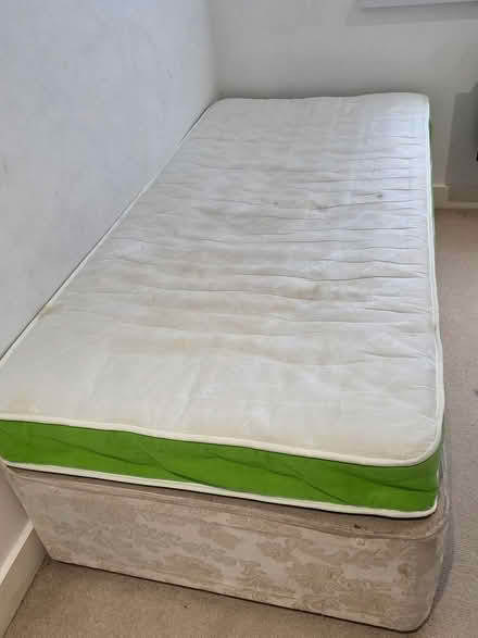 Photo of free Simply Jaybe Single bed (Handsworth S13, Sheffield) #4