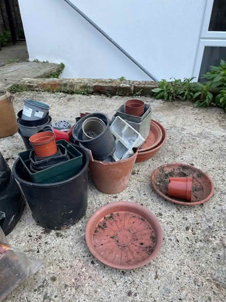 Photo of free Assortment of plastic plant pots (Islington N5) #1