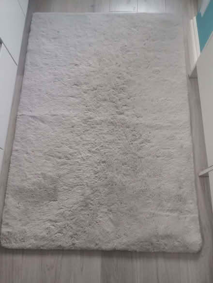 Photo of free Fluffy mat (Kingsway) #1