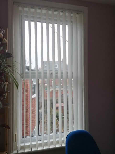Photo of free Vertical blinds x2 (Whitley Bay NE26) #1