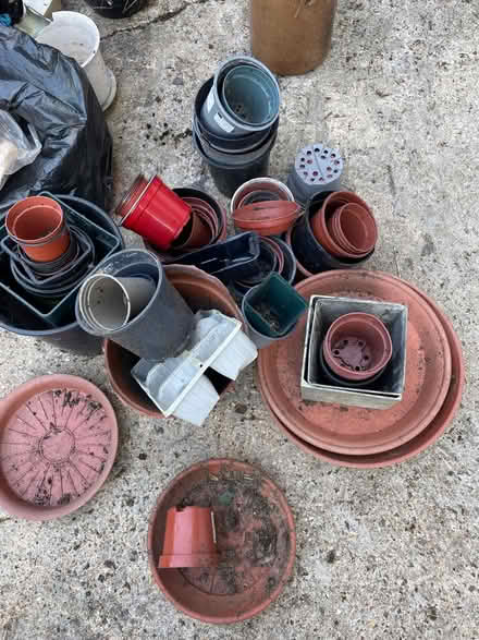 Photo of free Assortment of plastic plant pots (Islington N5) #2