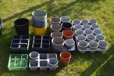 Photo of free Plants pots (wyberton) #1