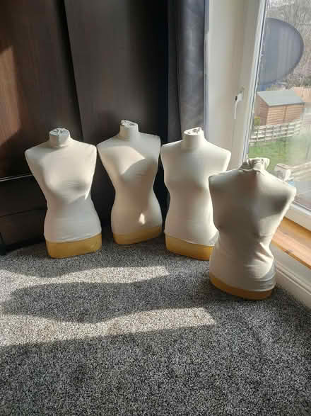 Photo of free Mannequins (WF17 6LQ) #1