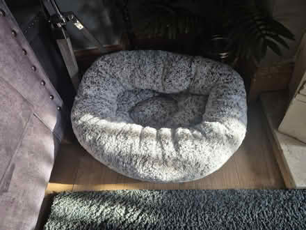 Photo of free Cat bed (CW7) #2