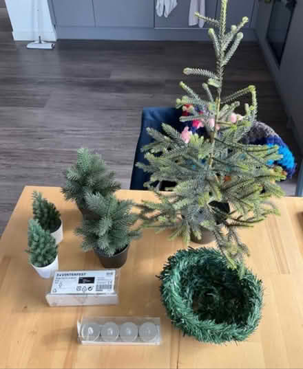 Photo of free Artificial pine tree set and LED tea lights (Anderston G3) #1