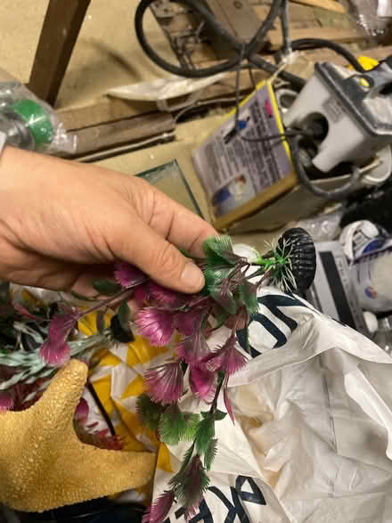 Photo of free Fish tank with bits and filter (Brighton BN2) #1