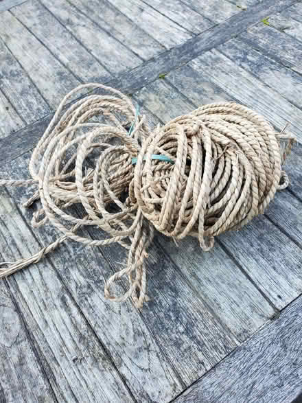 Photo of free Seagrass (TN25) #1