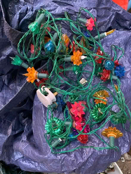 Photo of free Electric Fairy lights (Pebsham TN40) #1