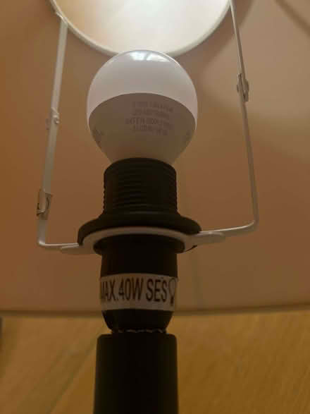 Photo of free Incandescant lamp + shade (Harrogate HG2) #2