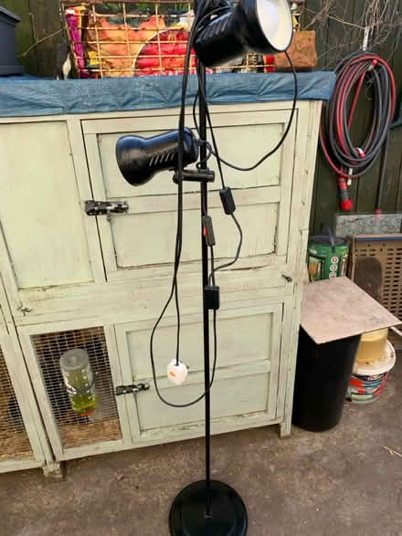 Photo of free Double Lamp (Pleasley, Mansfield NG19) #1