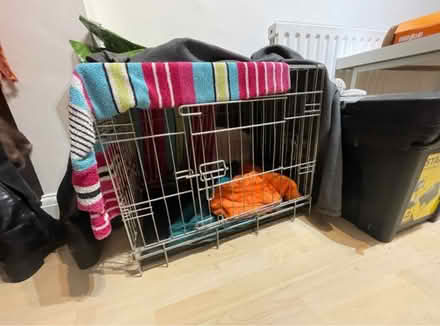 Photo of free Dog cage cocker size or cat (Whetstone N20) #1