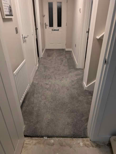 Photo of free Grey carpet (Newcastle) #1