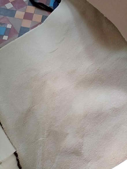 Photo of free Westex carpet remnant (Tooting SW17) #1