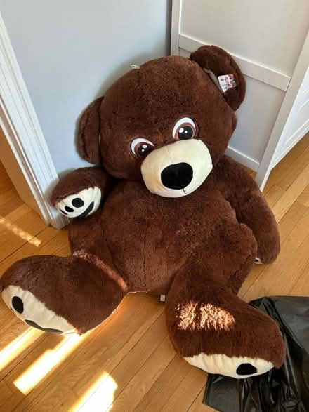 Photo of free Large plushie bear (Four Corners) #1