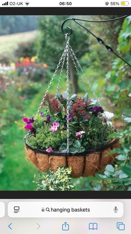 Photo of Hanging Baskets for Garden (Bexleyheath) #1