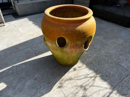 Photo of free Strawberry planter (Ravenscourt Park W6) #1